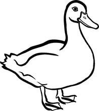 Laden Sie das Bild in den Galerie-Viewer, Ente
