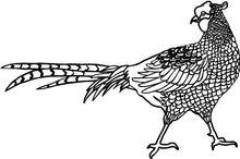 Laden Sie das Bild in den Galerie-Viewer, Geflügel, Fasanen