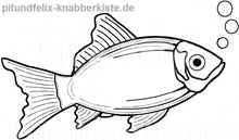 Laden Sie das Bild in den Galerie-Viewer, Flundern, Scholle
