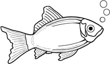 Laden Sie das Bild in den Galerie-Viewer, Fisch, Wels