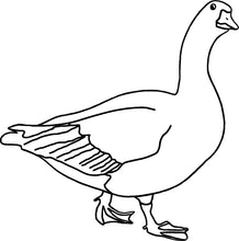 Laden Sie das Bild in den Galerie-Viewer, Gans