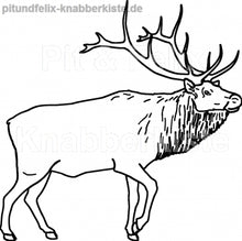 Laden Sie das Bild in den Galerie-Viewer, Hirsch