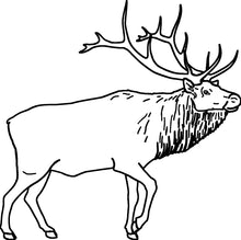 Laden Sie das Bild in den Galerie-Viewer, Winteredition Hirschlunge Mini