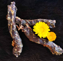 Laden Sie das Bild in den Galerie-Viewer, Entenhals