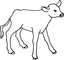Laden Sie das Bild in den Galerie-Viewer, Kalb