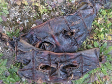 Laden Sie das Bild in den Galerie-Viewer, Kalbsschnuten