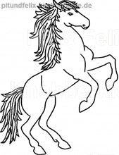 Laden Sie das Bild in den Galerie-Viewer, Pferd