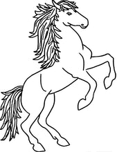 Laden Sie das Bild in den Galerie-Viewer, Pferdefleischwürfel Mini