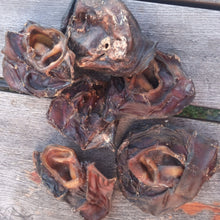 Laden Sie das Bild in den Galerie-Viewer, Rinderohrmuscheln