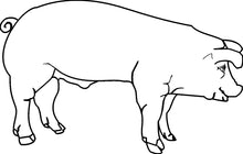 Laden Sie das Bild in den Galerie-Viewer, schwein