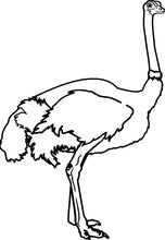 Laden Sie das Bild in den Galerie-Viewer, Strauß