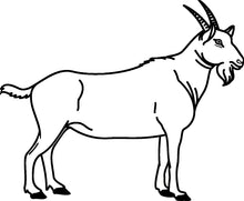 Laden Sie das Bild in den Galerie-Viewer, Ziegenleber