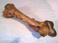 Laden Sie das Bild in den Galerie-Viewer, Maxi-Knochen vom Pferd