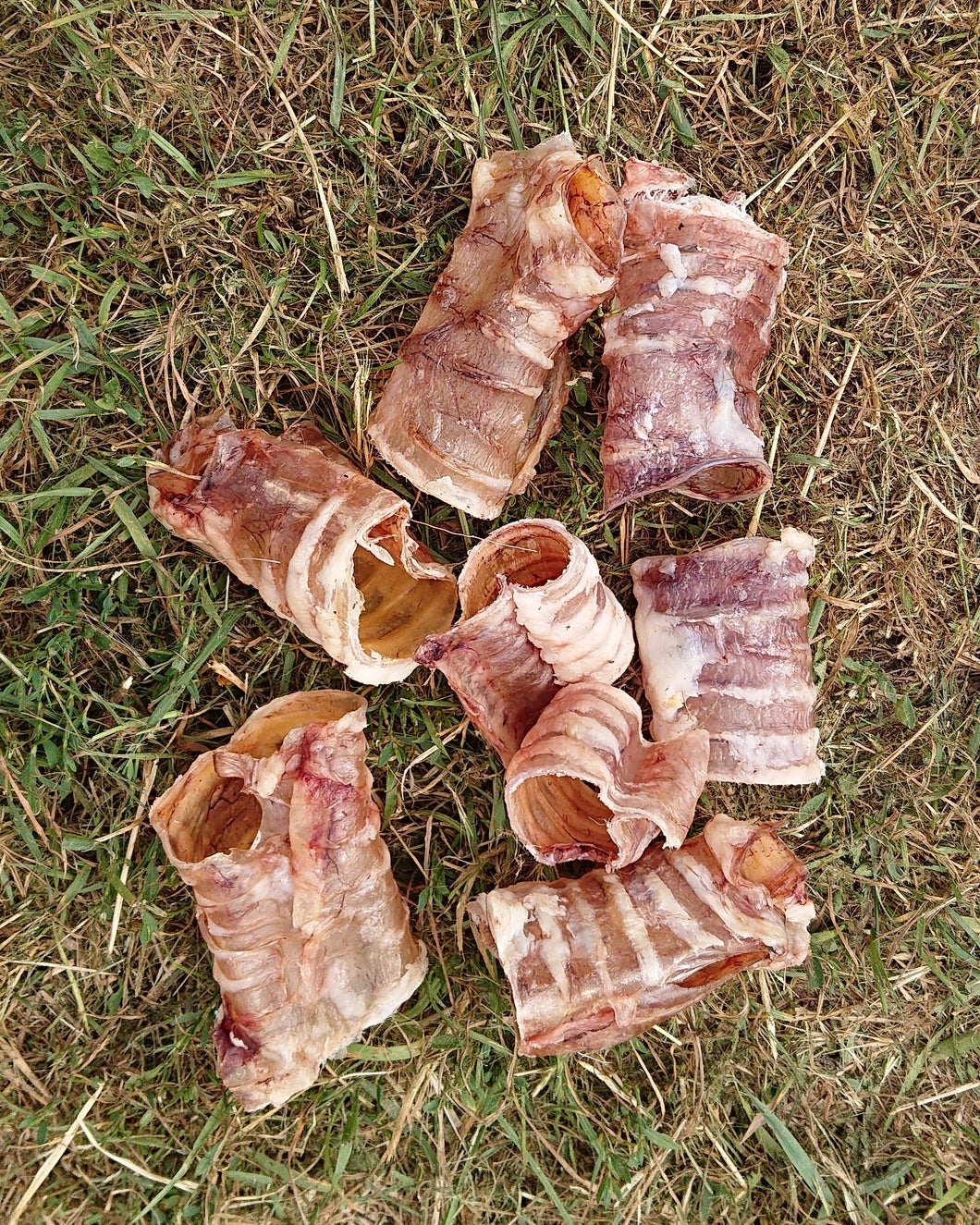 Kalbsstrossen