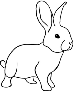 Kaninchenfleisch Miniwürfel